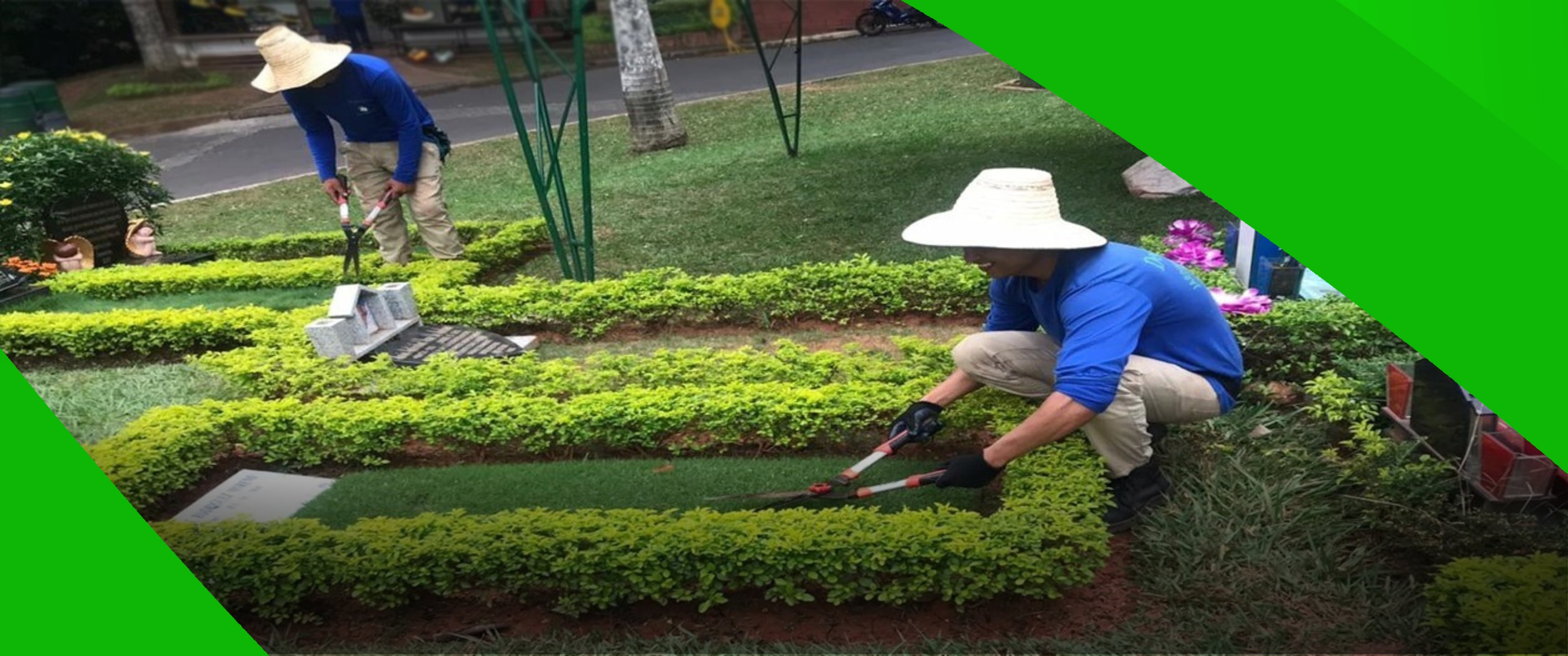 servicios de jardineria